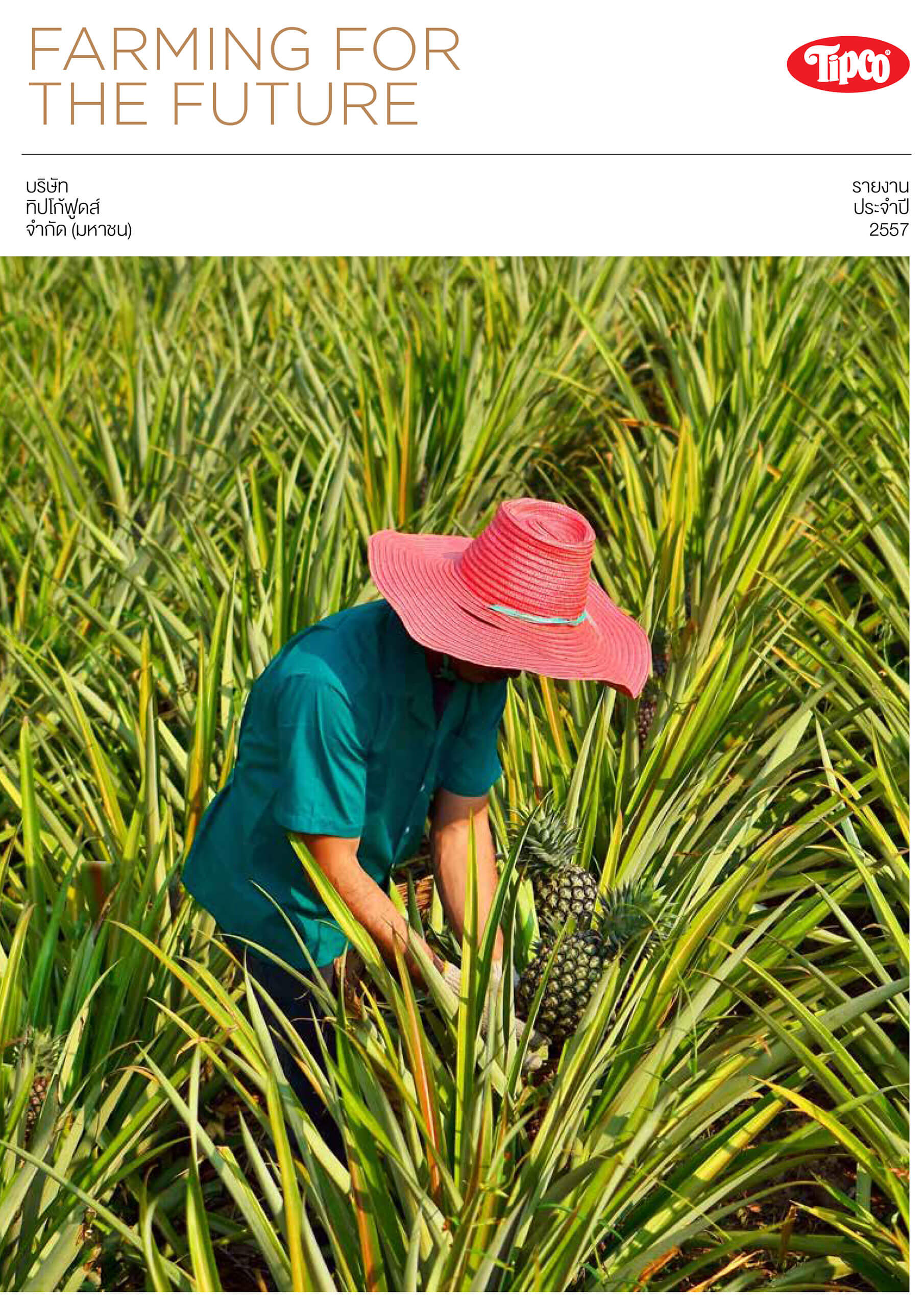 report2557